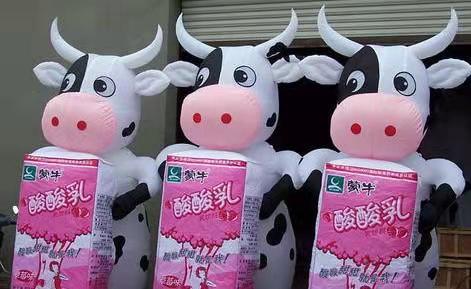 海南藏族牛奶厂广告气模